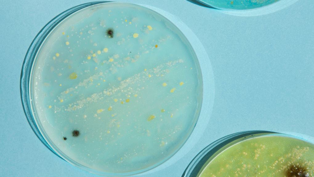 Ilustrasi-Biofilter-April-2024